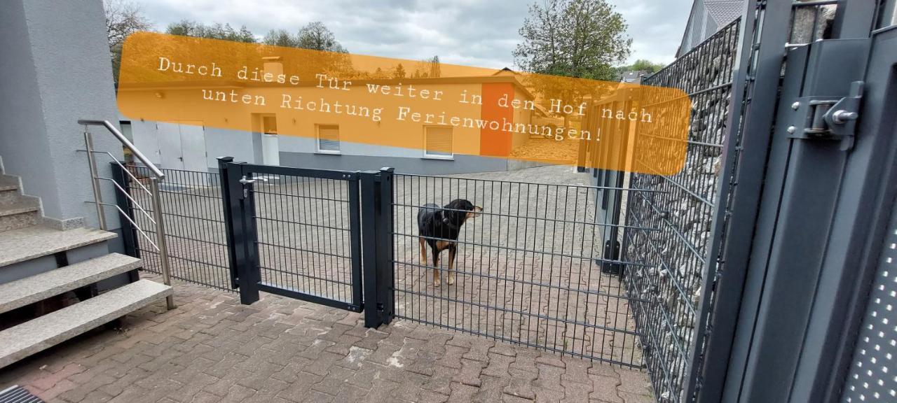 Ferienwohnung/Monteurwohnung Im Schoenen Odenwald Mörlenbach Exterior foto